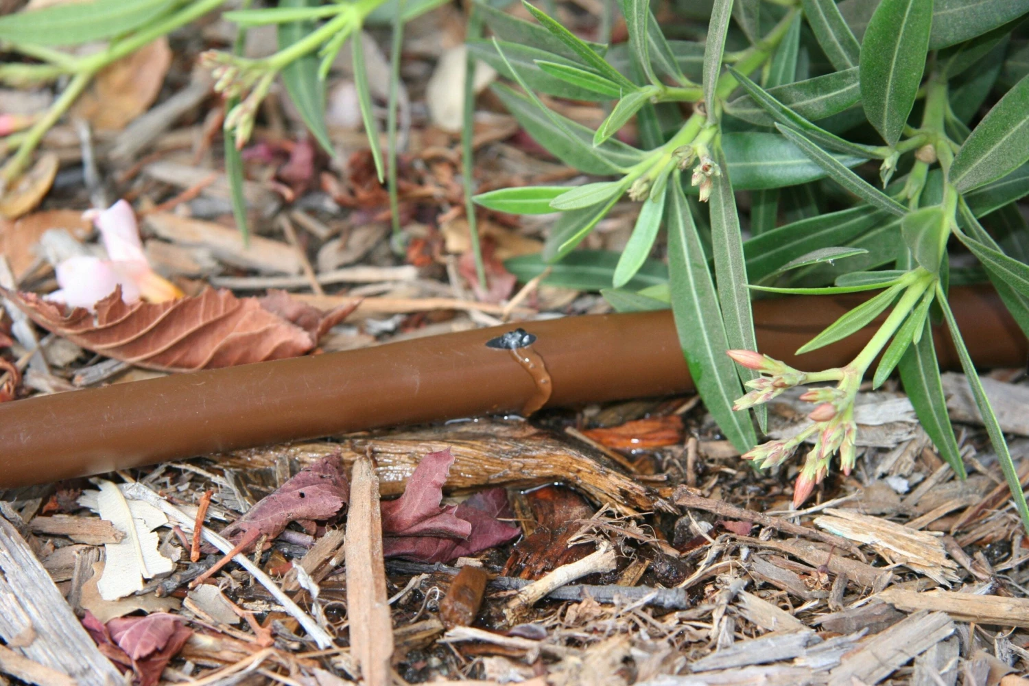 Rain Bird Drip Line 100 Metre - Pressure Compensating 2 Rain Bird Drip Line 100 Metre - Pressure Compensating - Image 2