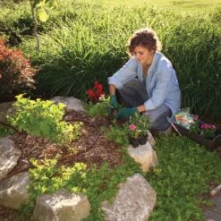 Rain Bird Drip Line 50 Metre - Pressure Compensating -Silverlines Store drip line drip line 50 metre roll long run 2541326401632