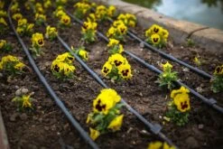 Claber Drip Line Bed/Border Irrigation Kit - 150 Metre 6 Claber Drip Line Bed/Border Irrigation Kit - 150 Metre -Silverlines Store drip line fittings and accessories claber drip line bed border kit 150 metre 33250208219302