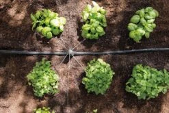 Hozelock Easy Drip Universal Watering Kit - 7023 -Silverlines Store hozelock easy drip irrigation hozelock easy drip universal watering kit 7023 15819654405