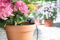 Hozelock Easy Drip Micro Dripper Kit - 7024 -Silverlines Store hozelock watering system hozelock easy drip micro dripper kit 7024 15977058117