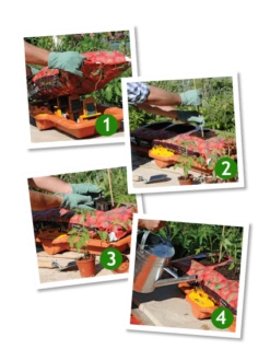 Hozelock Growbag Watering Kit - 2810 -Silverlines Store hozelock watering system hozelock growbag watering kit 2810 32636620341414