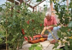 Silverlines Store -Silverlines Store hozelock watering system hozelock growbag watering kit 2810 7548047365