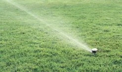 Rain Bird Maxi-Paw Pop Up Impact Sprinkler 9 Rain Bird Maxi-Paw Pop Up Impact Sprinkler -Silverlines Store pop up sprinklers rain bird maxi paw pop up impact sprinkler 7548542789