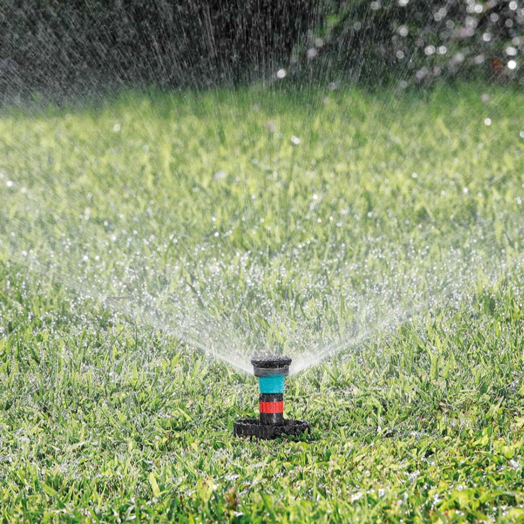 Silverlines Store -Silverlines Store 81og5HvHfjL